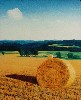 Rollfeld