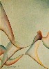 Behende