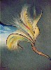 Blume